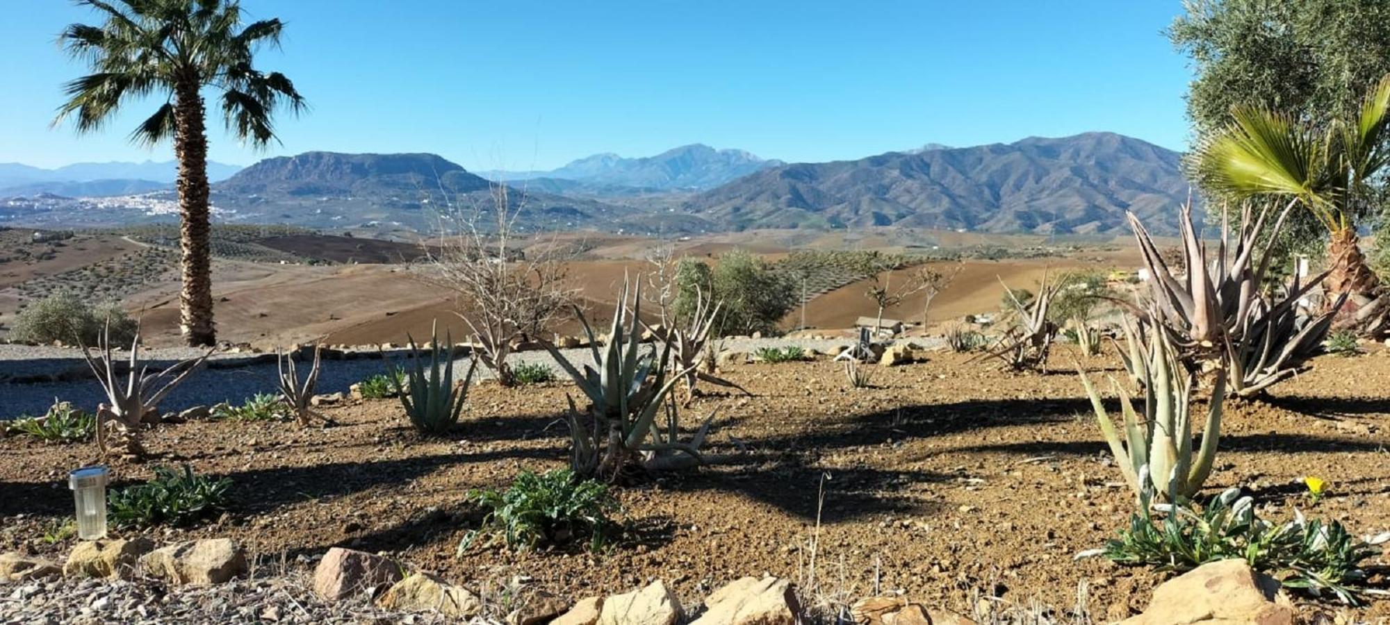 Casa Ceratonia Bed & Breakfast Alora Dış mekan fotoğraf