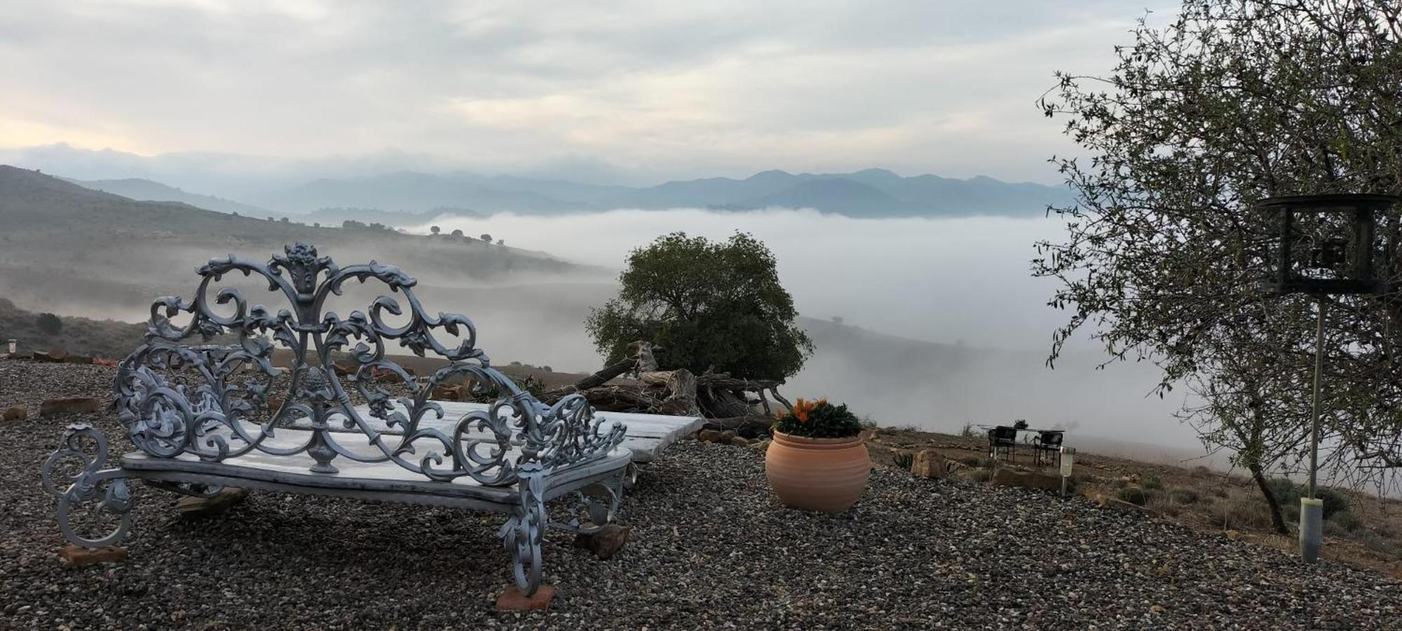 Casa Ceratonia Bed & Breakfast Alora Dış mekan fotoğraf