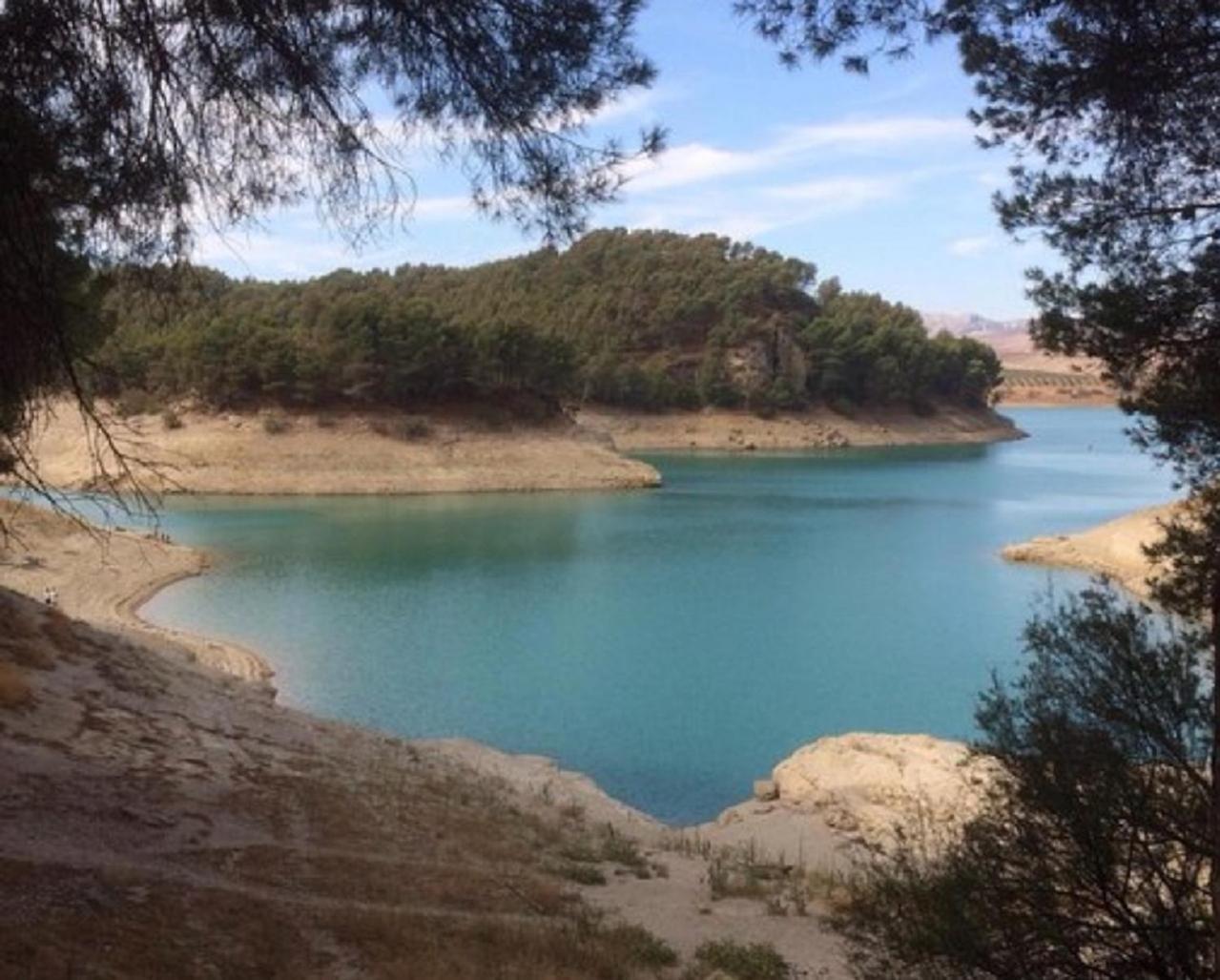 Casa Ceratonia Bed & Breakfast Alora Dış mekan fotoğraf
