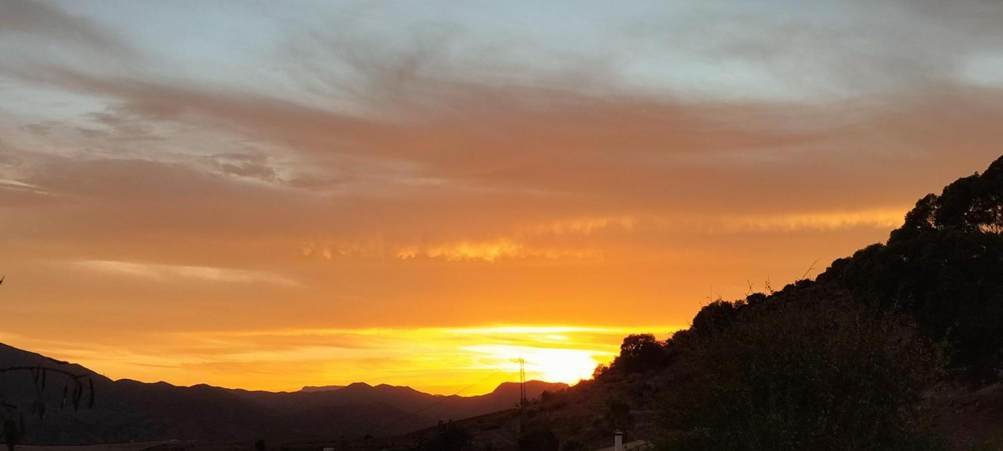 Casa Ceratonia Bed & Breakfast Alora Dış mekan fotoğraf