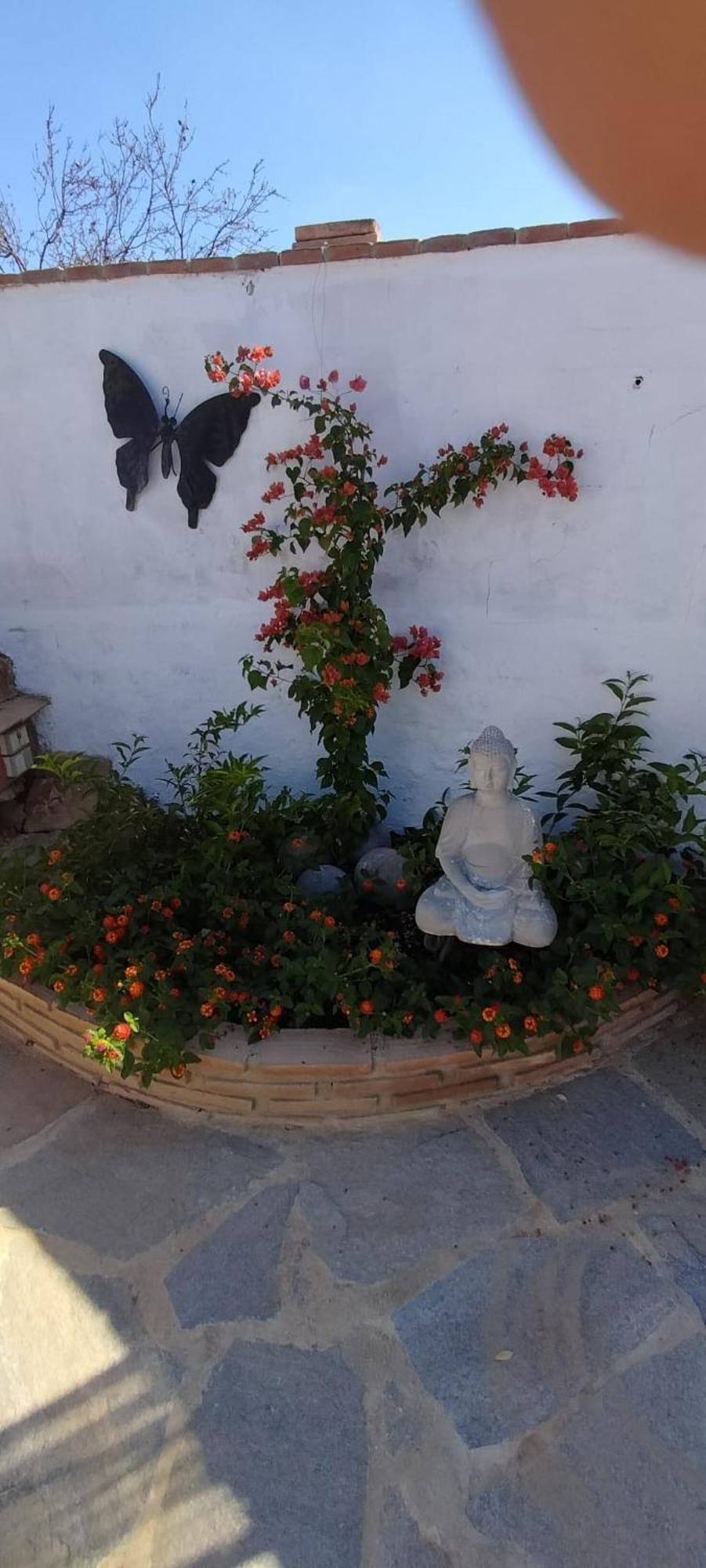 Casa Ceratonia Bed & Breakfast Alora Dış mekan fotoğraf