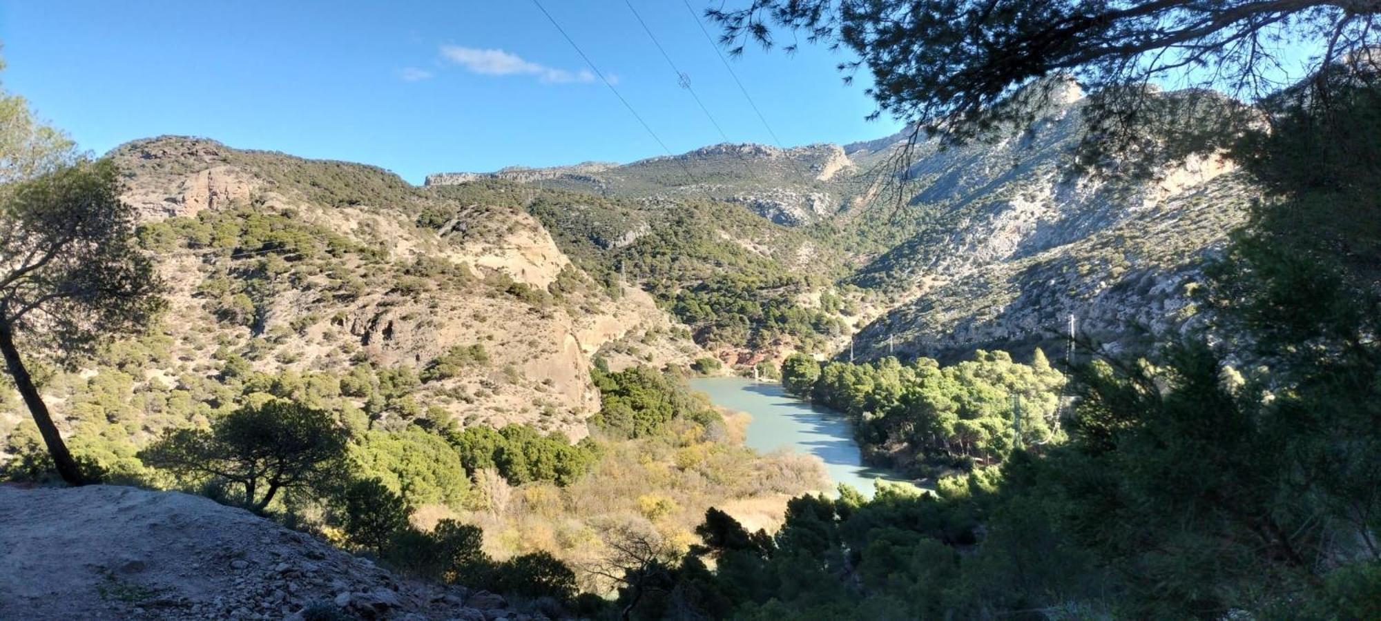 Casa Ceratonia Bed & Breakfast Alora Dış mekan fotoğraf