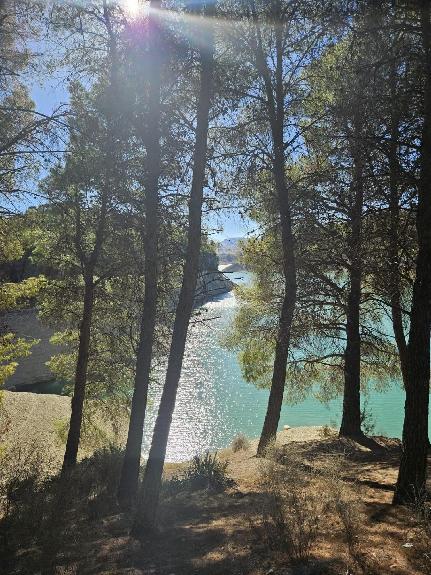 Casa Ceratonia Bed & Breakfast Alora Dış mekan fotoğraf
