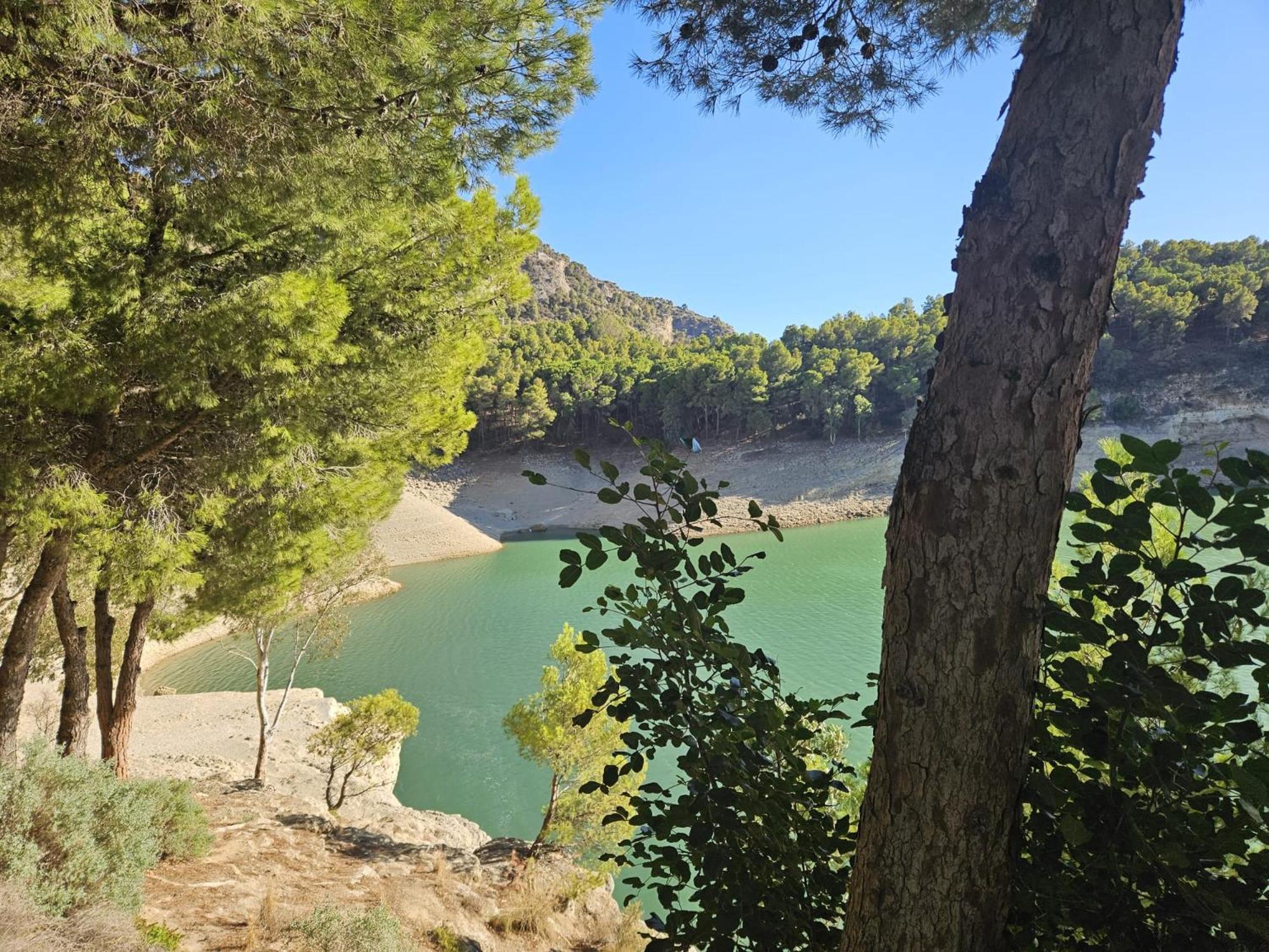 Casa Ceratonia Bed & Breakfast Alora Dış mekan fotoğraf